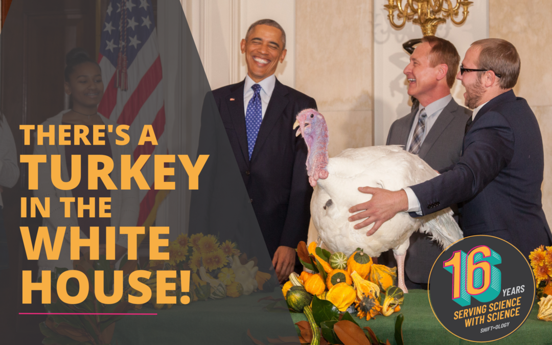 There’s a Turkey in the White House!