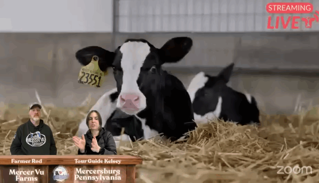 Virtual Farm Trips® Bring the Farm to 1.5 Million Viewers and Counting